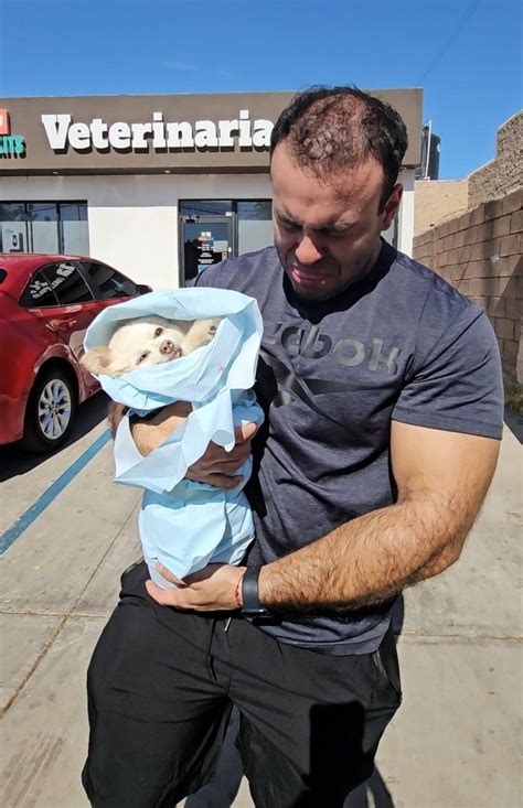 caso perrita chanel